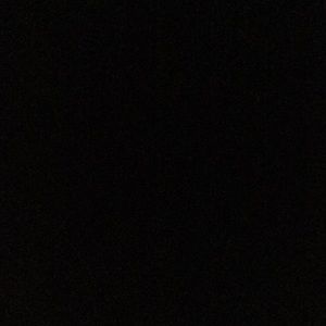 Meet your Posher, Brodie